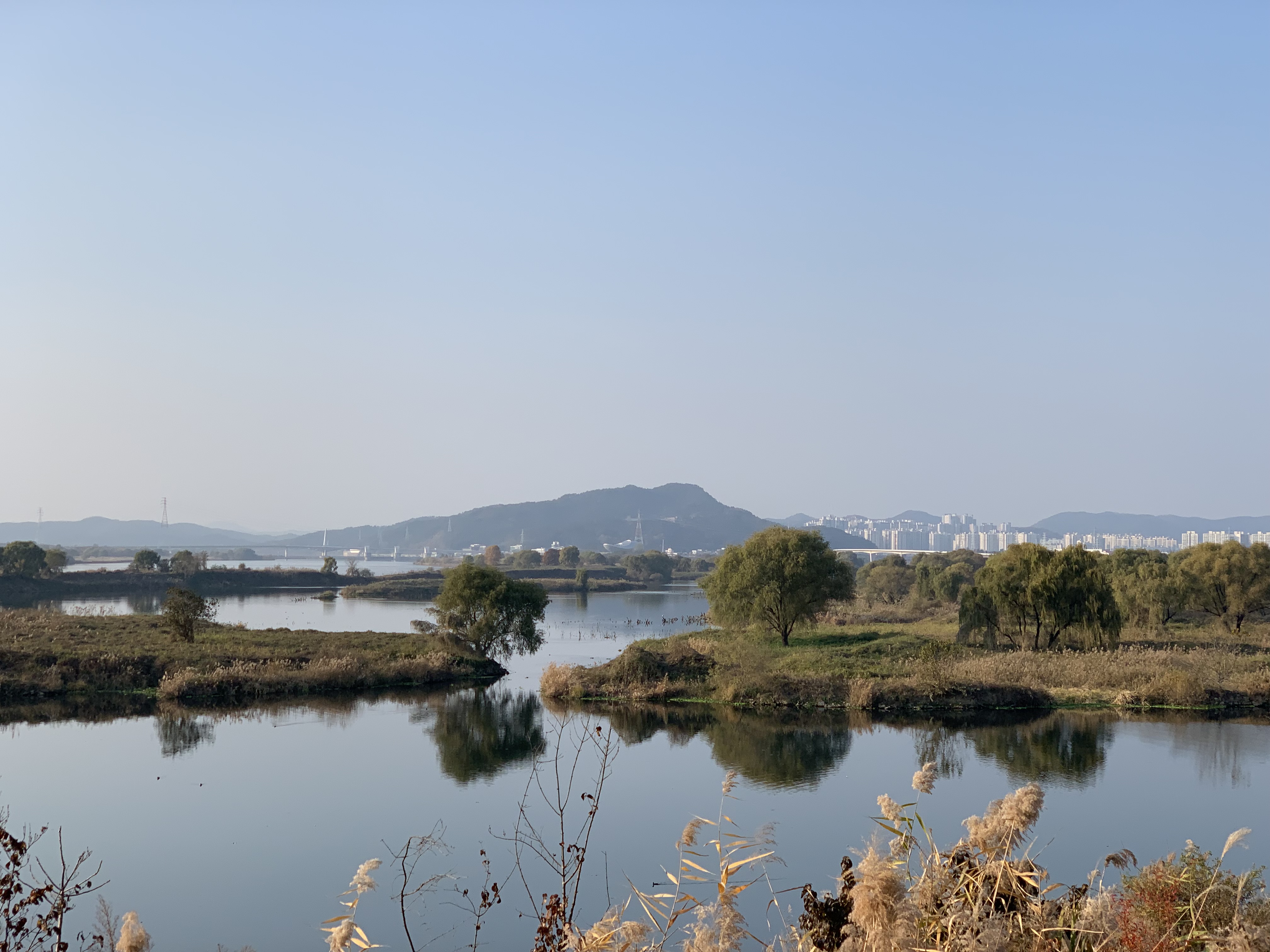 대구 힐링투어B