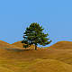 https://www.daegucitytour.com/data/item/1690168165/thumb-7Iuc7KaM7Yis7Ja07IKw7Jy866Gc_80x80.png